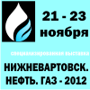 баннер 100x100px ННГ